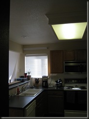 over the sink light