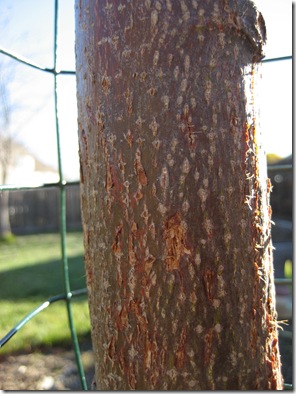 IMG_3088 IMG_3088