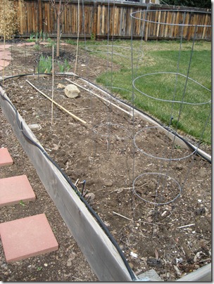 bare veggie garden bare veggie garden