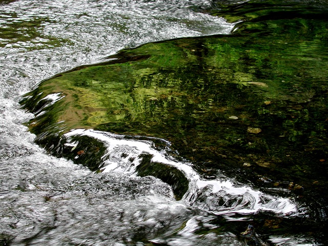 [riverdovecontrast4.jpg]