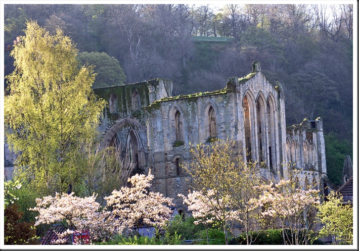 rievaulx abbey in early morning light