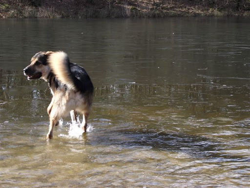 fototoestel 052.jpg