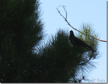 IMG_4835 IMG_4835