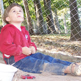 Zack Playing Cars