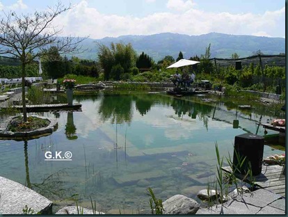 Teich Teich