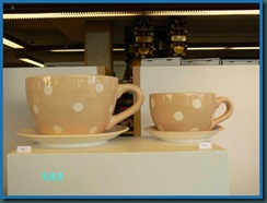 x P1130621 x P1130621