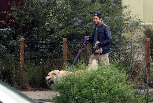 [91230p1_cooper_b-gr_02[3].jpg]