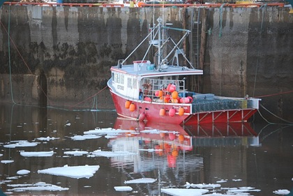 ice-in-harbour