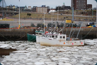 saint john harbour river ice