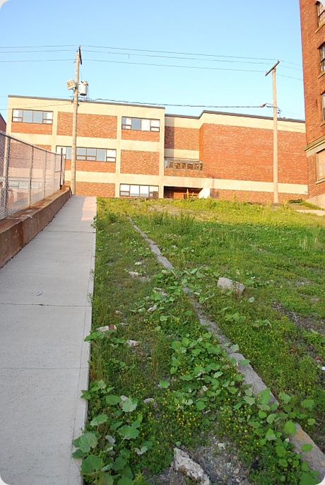 curbs on murder hill