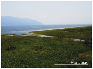 yojoa