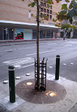 DallasSt Tree with Lights and Bollards.jpg