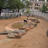 CIMG3957.JPG