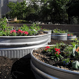 SDC10341.JPG