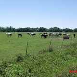 CIMG5715.JPG