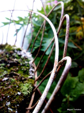 [060520093266[2].jpg]