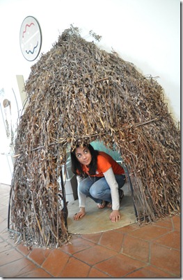 DSC_0212 DSC_0212