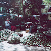 Santiago Atitlan - Vendiendo aguacates.jpg
