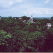 Tikal - Vista desde el templo V.jpg