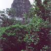 080 - Tikal - Templo V.jpg