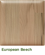 European Beech
