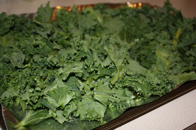 [2.8.10 025[5].jpg]