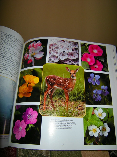 [DSCN2311[6].jpg]