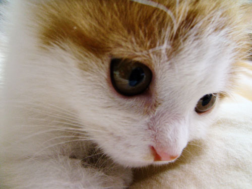 DSC00114.jpg
