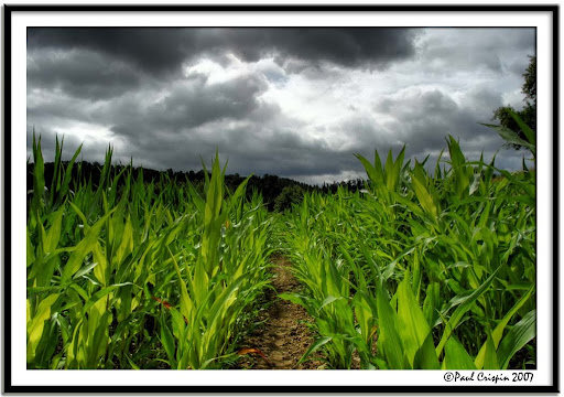 haunted houses and cornfields near rockingham county va