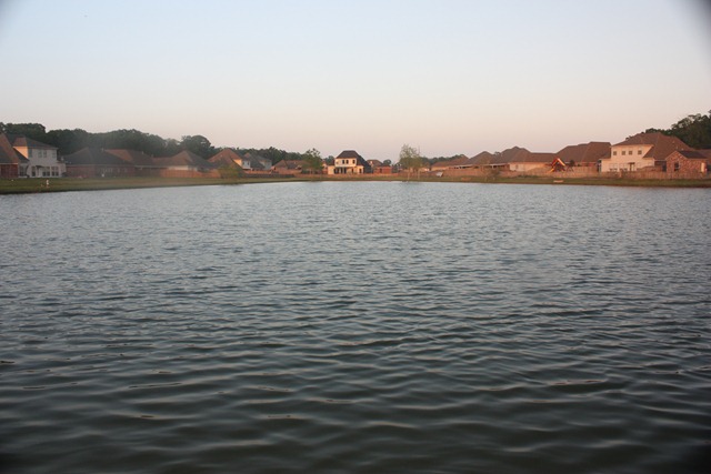 [2010-04-04 Lake 039[3].jpg]