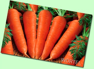 icon-Carrot