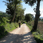 IMG_0954.jpg