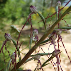 DSCF3193.jpg