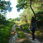 P1010188 copia.JPG