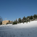IMG_9219.jpg
