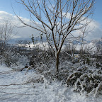 IMG_9159.jpg