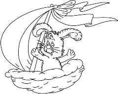 scj_sailenhigh