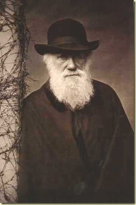 Darwin