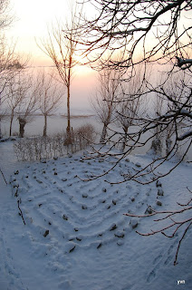 Het kleine Paradijs in de winter