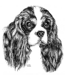 Dogs - black and white sketches