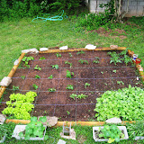 garden05022010.jpg
