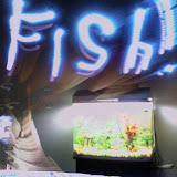 Fish.jpg