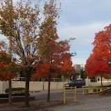 DSC01899.JPG