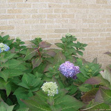 DSC01906.JPG