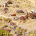 IMG_4645.jpg, Bhutan - The Land of the Thunder Dragon - All Top Picks