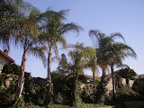 PB230018.JPG