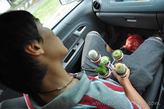 [DSC_09452.jpg]