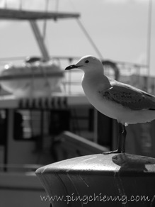 P9200055