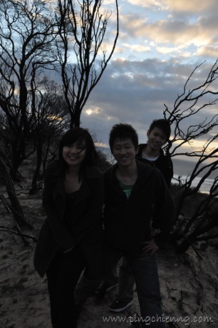 [DSC_60338.jpg]