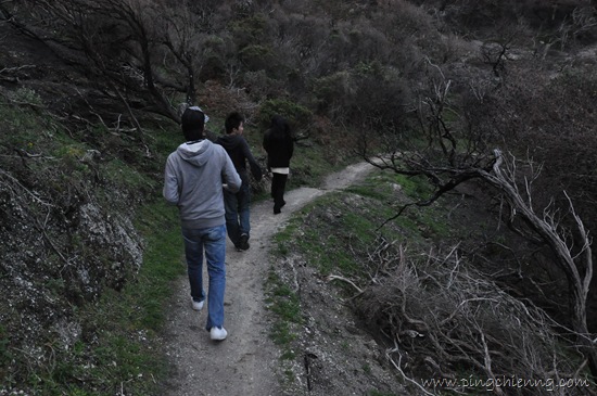 [DSC_60954.jpg]